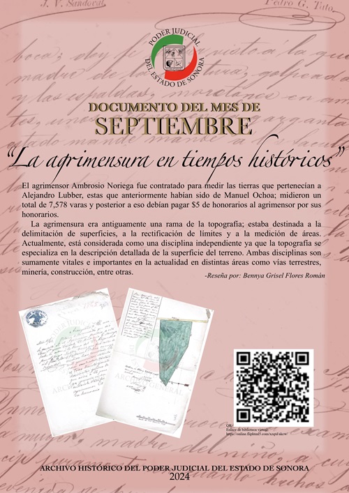 Articulo Septiembre 2024